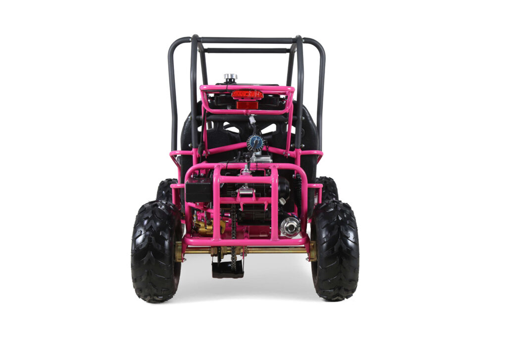 TAO_Motors_GK110_rear_pink